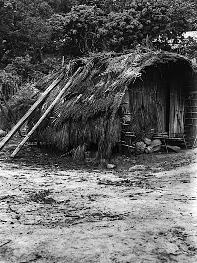 海南明国时期老照片1931年，白沙地区原住民生活，纹身的黎族妇女