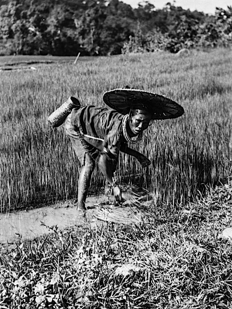 海南明国时期老照片1931年，白沙地区原住民生活，纹身的黎族妇女