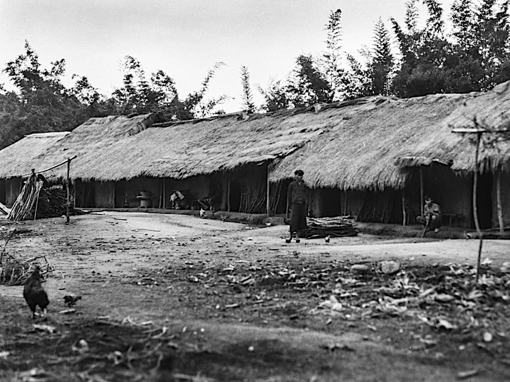 海南明国时期老照片1931年，白沙地区原住民生活，纹身的黎族妇女