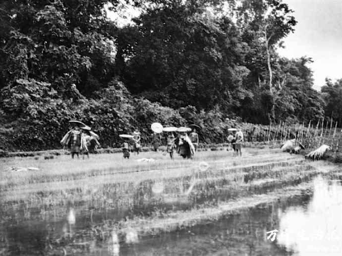 拍摄于1937年的海南少数民族生活照片